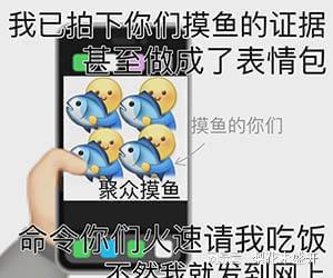 摸鱼办提醒，最新摸鱼指南，助你高效休闲工作两不误