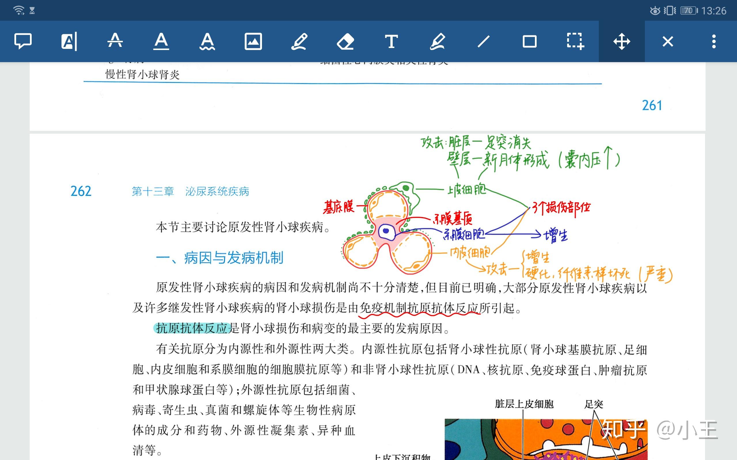 7777788888新版跑狗图解析｜精选解释解析落实