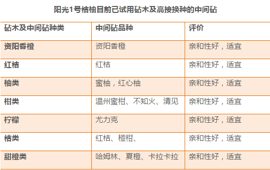 2024年全年資料免費大全優勢｜精选解释解析落实