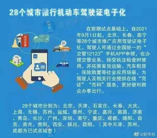 揭秘王中王开奖十记录网一，精选解析与落实策略