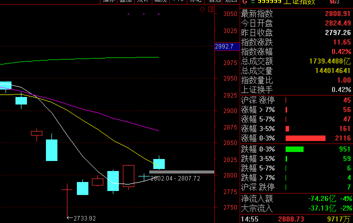 澳门今晚一肖必中特——揭秘预测陷阱与防范策略