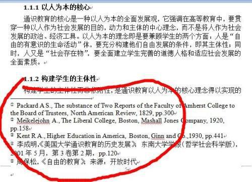 澳彩资料免费的资料大全精选解释解析落实——揭示背后的风险与犯罪问题