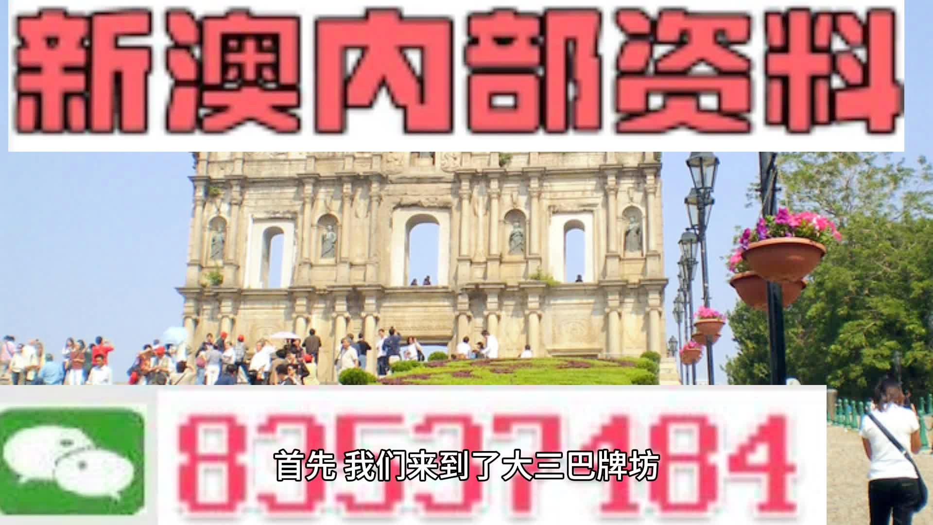 2024新澳最新精准资料解析与落实策略