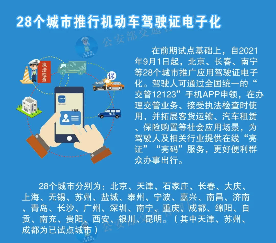 迎接变革，2024正版资料全年免费共享与精选解析落实策略