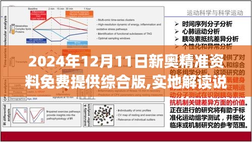 新奥精准资料免费大全，解析、落实与精选解释