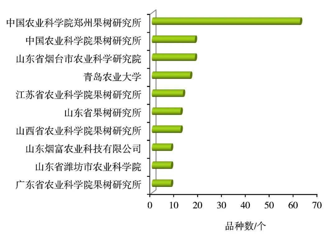 新澳门一码一肖一特一中水果爷爷，解析与精选策略的实施