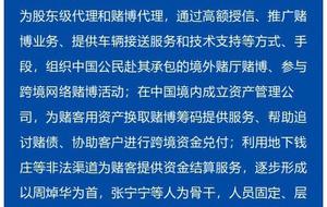 澳门今晚一肖必中特，解析与应对的探讨