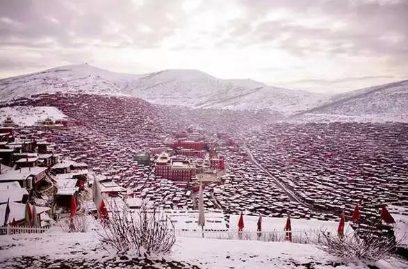 川西最新下雪，一场美丽的冬日盛宴