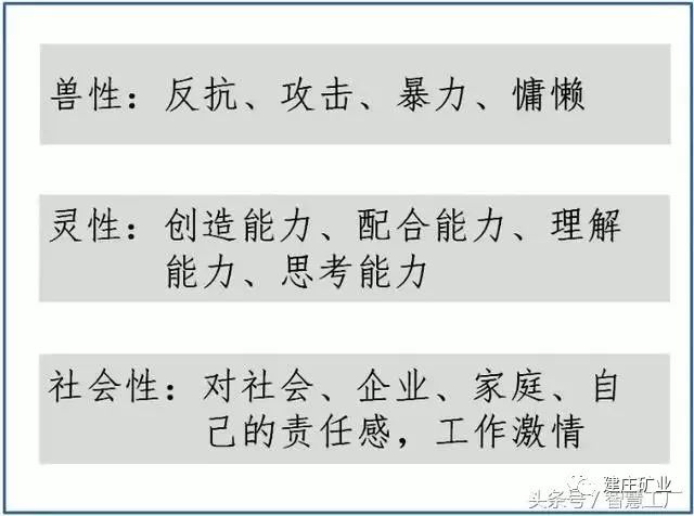 澳门今晚特马开什么——词语释义与解释落实背后的警示