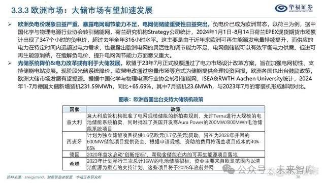 探索新澳精准正版资料，词语释义与落实策略