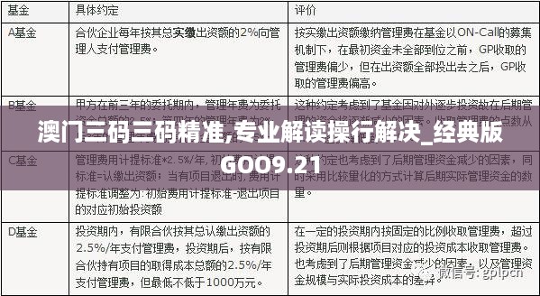 澳门三码三码精准，词语释义、解释与落实的重要性