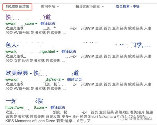 新澳门一码最精准的网站，词语释义、解释与落实的重要性