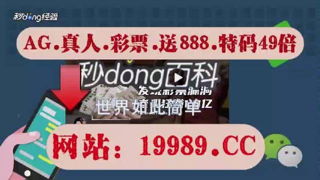 澳门六开奖结果2024开奖记录今晚直播——词语释义与解释落实的探讨