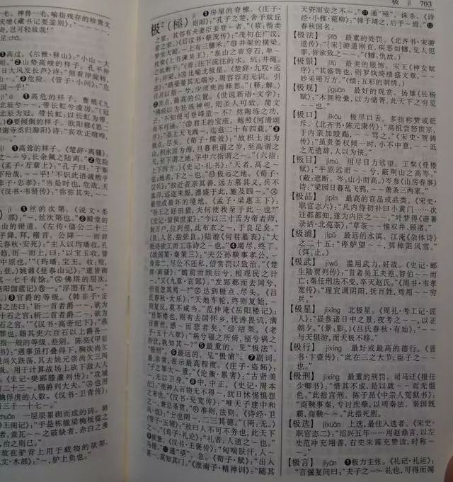 一肖一码一必中一肖——词语释义与落实之道