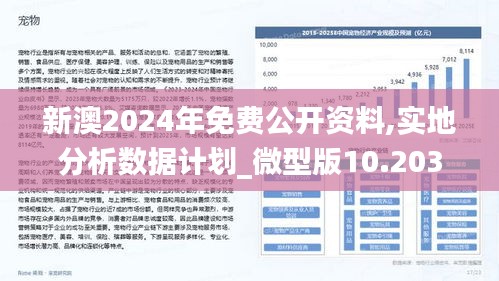 新澳2024正版资料免费公开，词语释义与落实解析