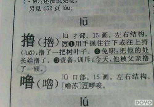 澳门正版资料大全与鬼谷子，词语释义、解释及落实的重要性（犯罪问题探讨）