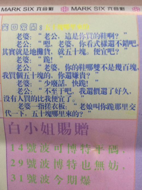 关于澳门生肖彩票与词语释义的探讨