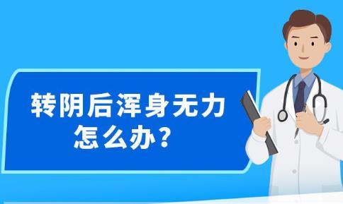 新澳精准资料免费提供，词语释义与落实行动的重要性