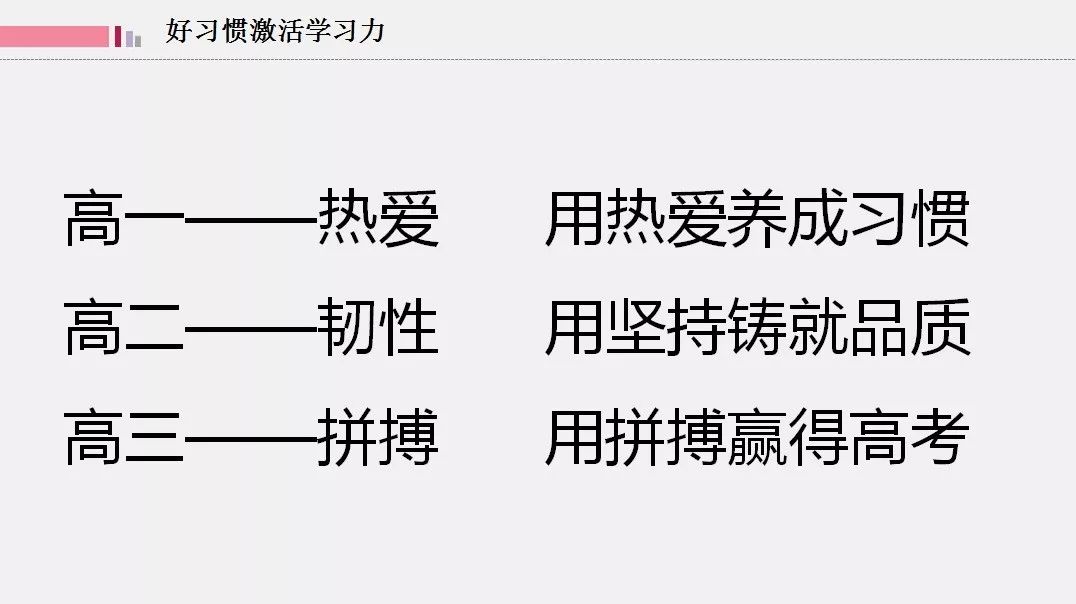 精准一肖一码一子一中，词语释义与落实行动的重要性