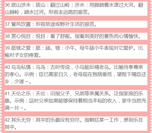 今晚必开什么生肖——词语释义与解释落实的探讨